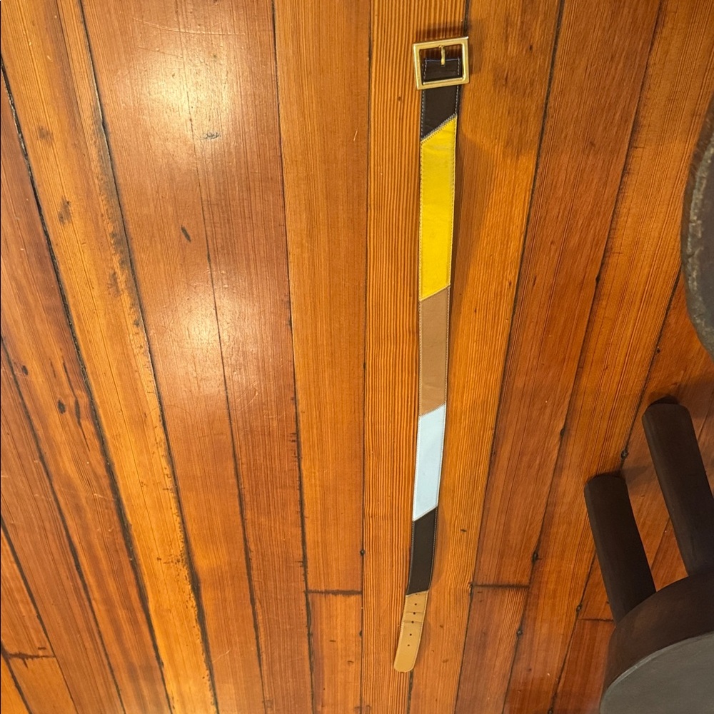 Dolce & Gabbana Multicolor Belt